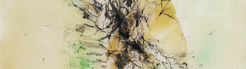 Lithids Header Image