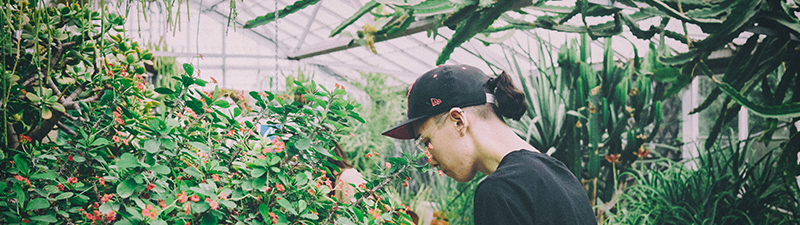 Allan Gardens Header Image