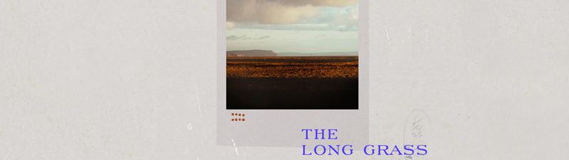 The Long Grass Header Image