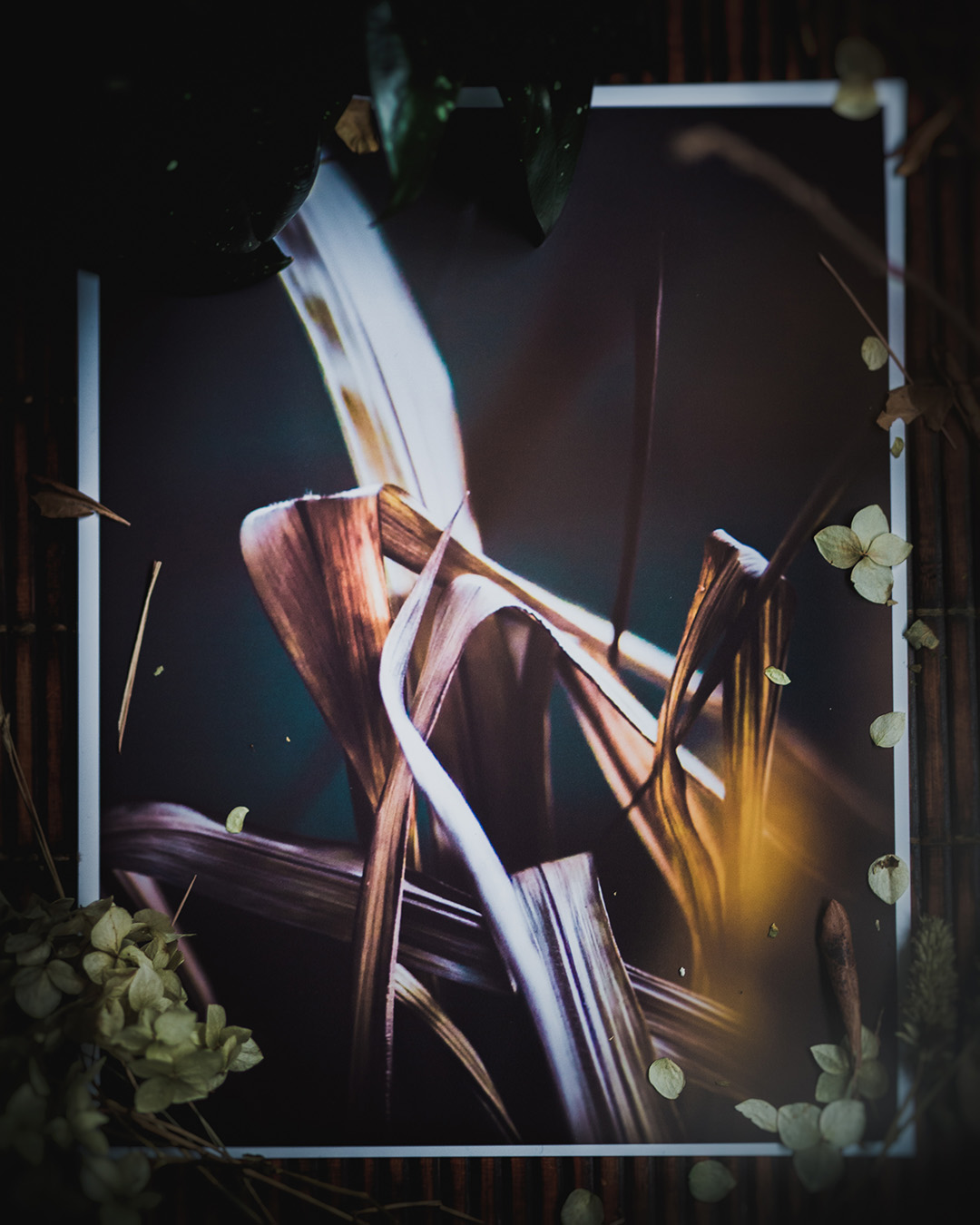 Printed photograph of dried grass.