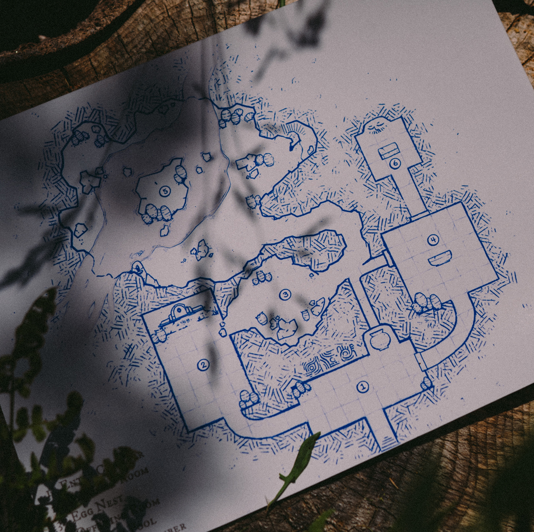Image from the printed adventure showing the map of the dungeon